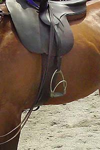 Photograph of a horse with a side saddle stirrup
